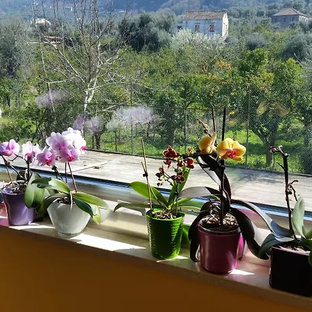Leone Hotel